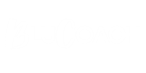 blucoach.co.za